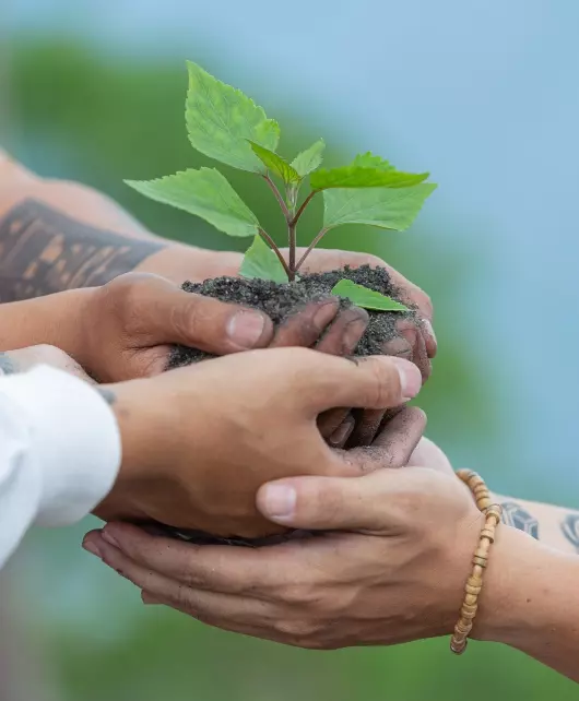 integrando-el-ambiente